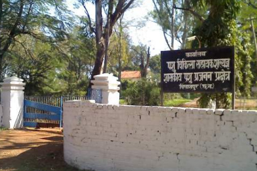 naidunia_image